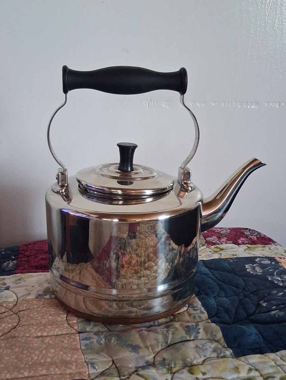 The BonJour Tea Stainless Steel Teakettle 2-quart